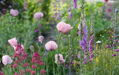 Eavolu's Sustainable Spring Blossom: A Tale of Innovation in Fashion