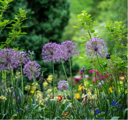 Celebrating Earth Month: Eavolu's Commitment to Sustainability