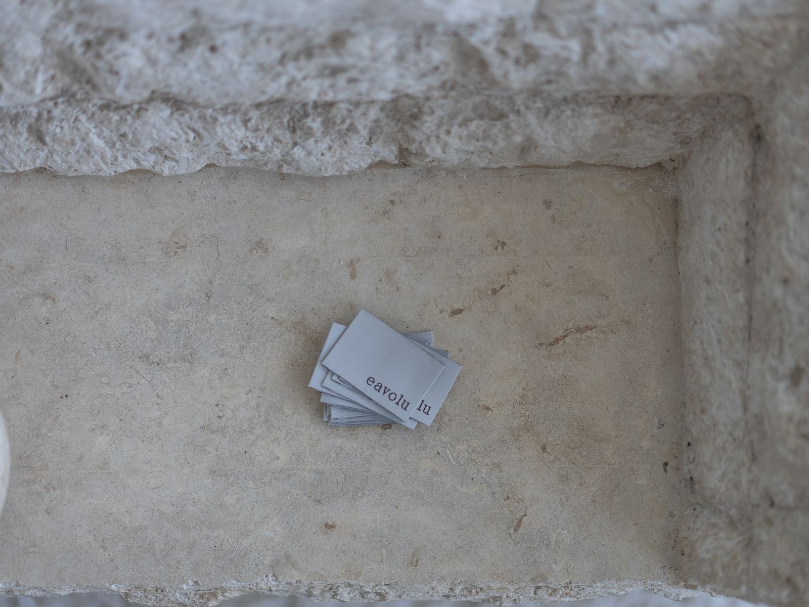 Eavolu: Pioneering Transitional Apparel with Sustainable Style